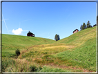 foto Alpe di Siusi
